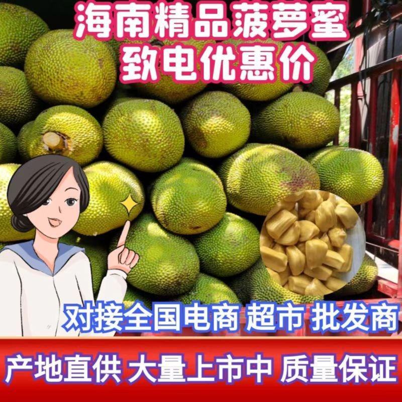 菠萝蜜马一泰八香甜可口产地直供价格便宜保质保量