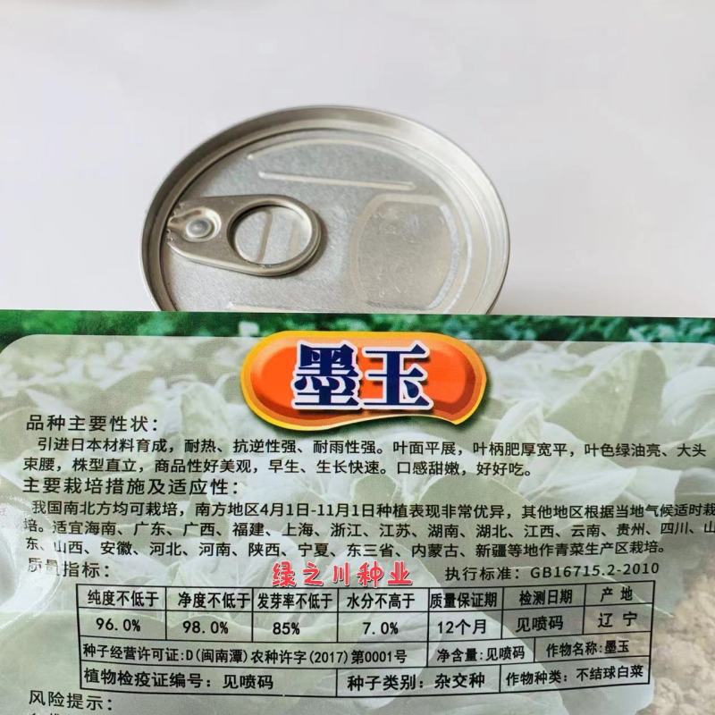 引进日本材料，晓富墨玉青梗菜种子耐热耐雨性强油亮甜嫩