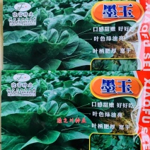 引进日本材料，晓富墨玉青梗菜种子耐热耐雨性强油亮甜嫩