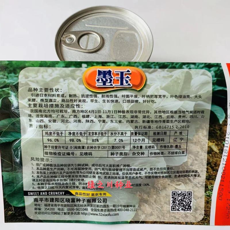 引进日本材料，晓富墨玉青梗菜种子耐热耐雨性强油亮甜嫩