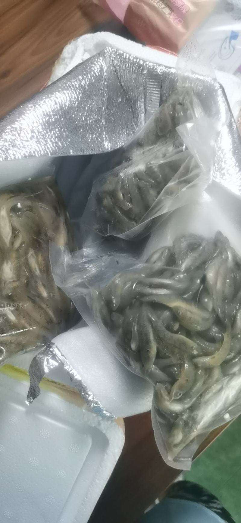 微山湖生态山根鱼淡水鱼新鲜小黄鱼趴地虎全国发货量大从忧