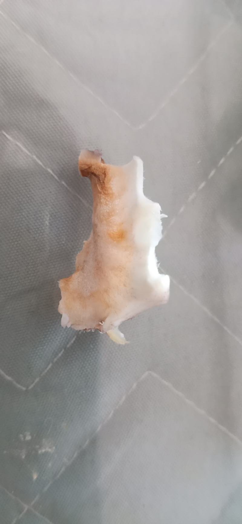 清皮核桃
