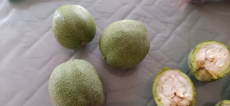清皮核桃