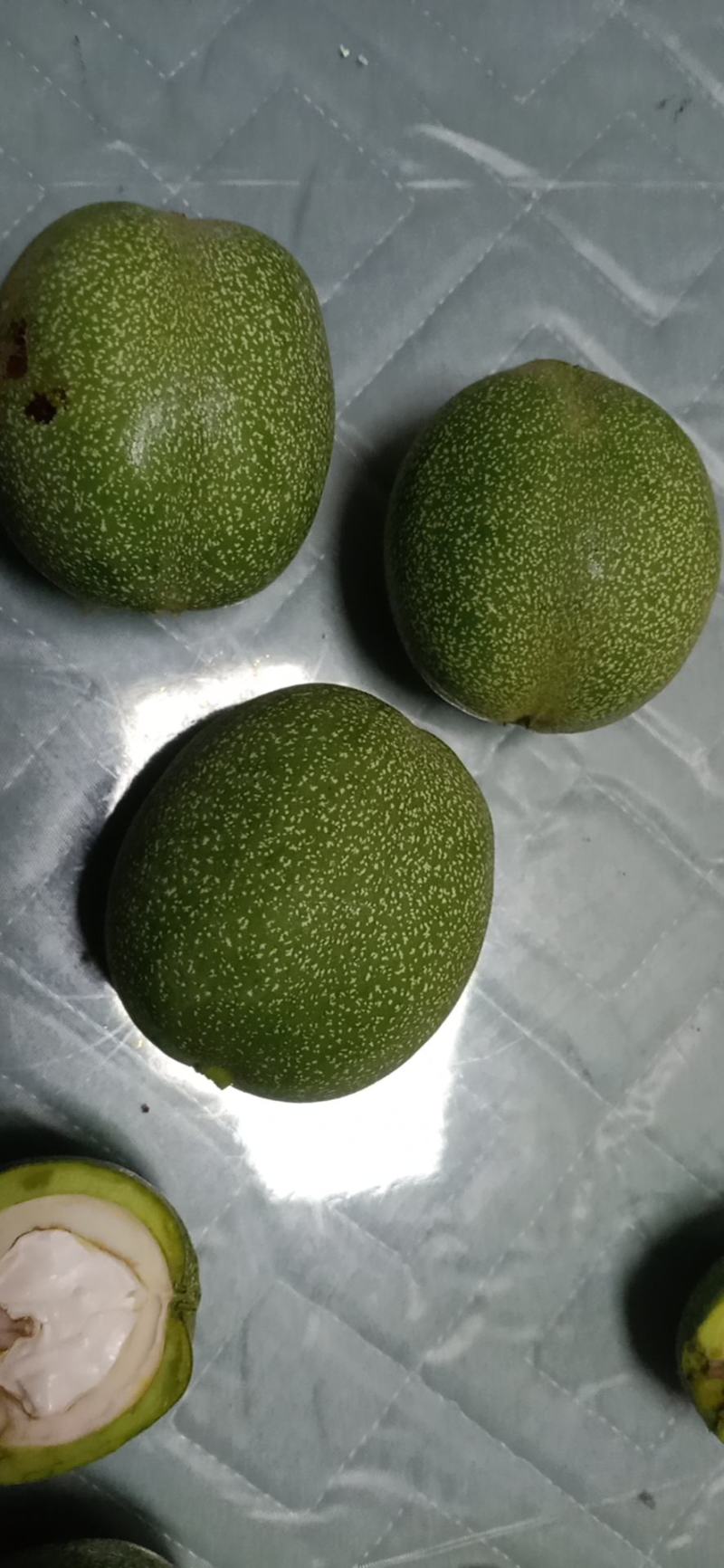 清皮核桃