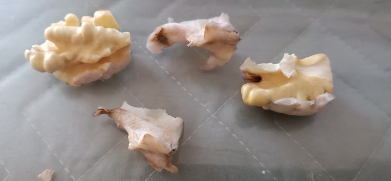 清皮核桃