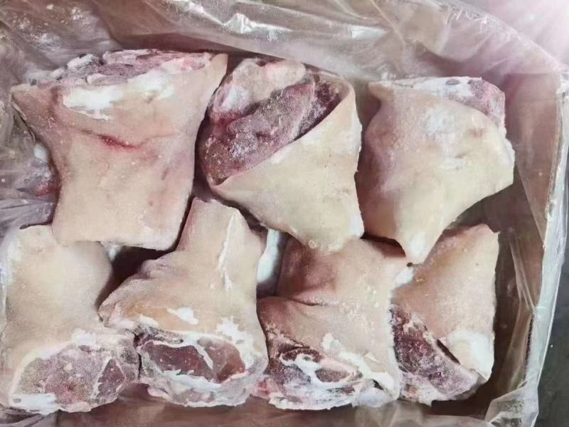 猪肘子，前肘子，猪后肘，猪肘子一箱20斤规格9-10都有