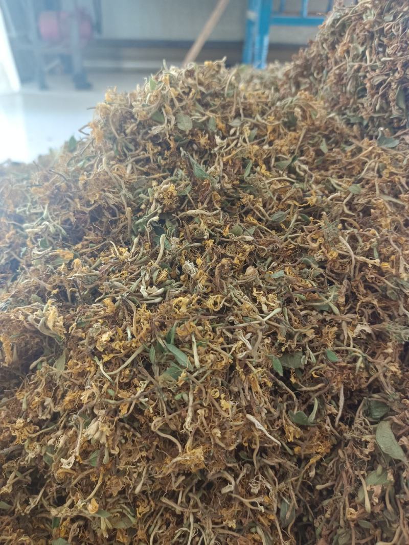 包邮，贵州深山金银花，繁花，全开花