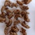 大货批发蝉蜕一手货源