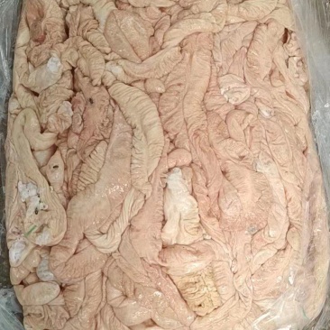 大肠国产一级生大肠