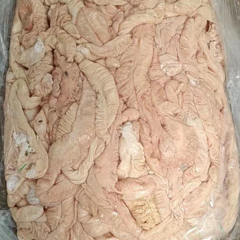 大肠国产一级生大肠