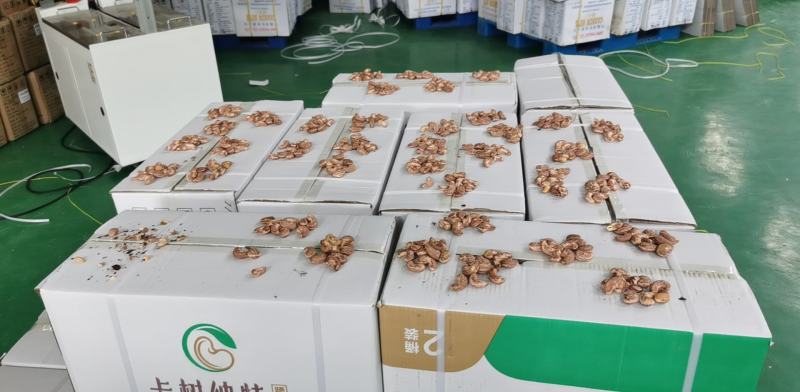 厂家直销精品腰果，量大，主打悦南小宝和卡树纳特两个品牌