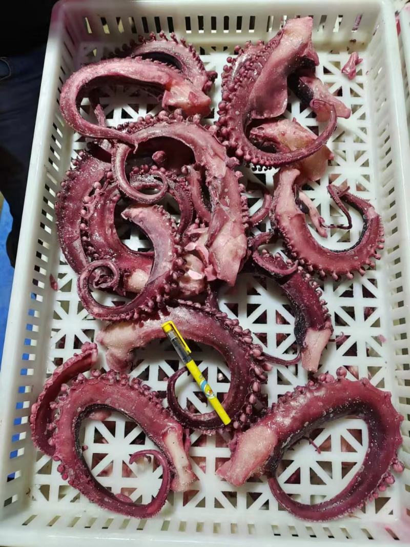 脆口须脆口章鱼须鱿鱼须