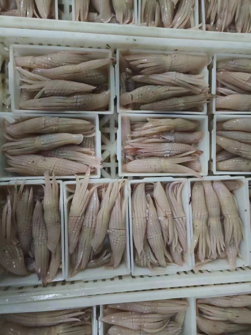 火箭鱿鱼火锅烧烤