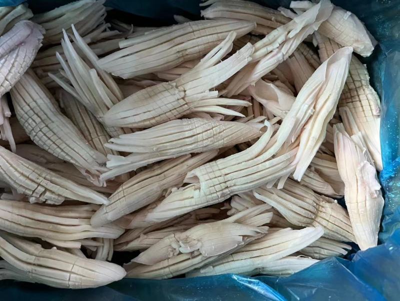 火箭鱿鱼火锅烧烤