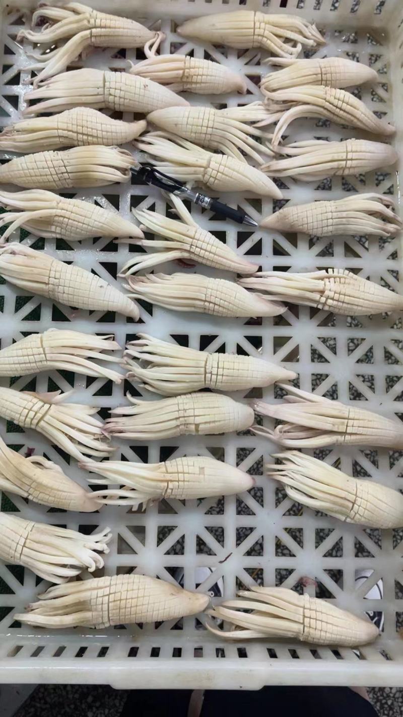 火箭鱿鱼火锅烧烤
