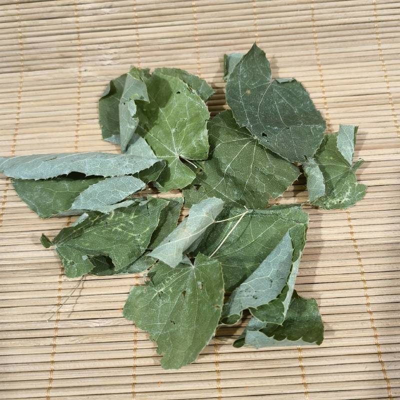 淫羊藿产地甘肃实物拍摄颜色好看纯青货质量保证