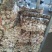 【精选】精品大蒜江苏精品干蒜一手货源质优价优欢迎咨询
