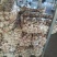 【精选】精品大蒜江苏精品干蒜一手货源质优价优欢迎咨询