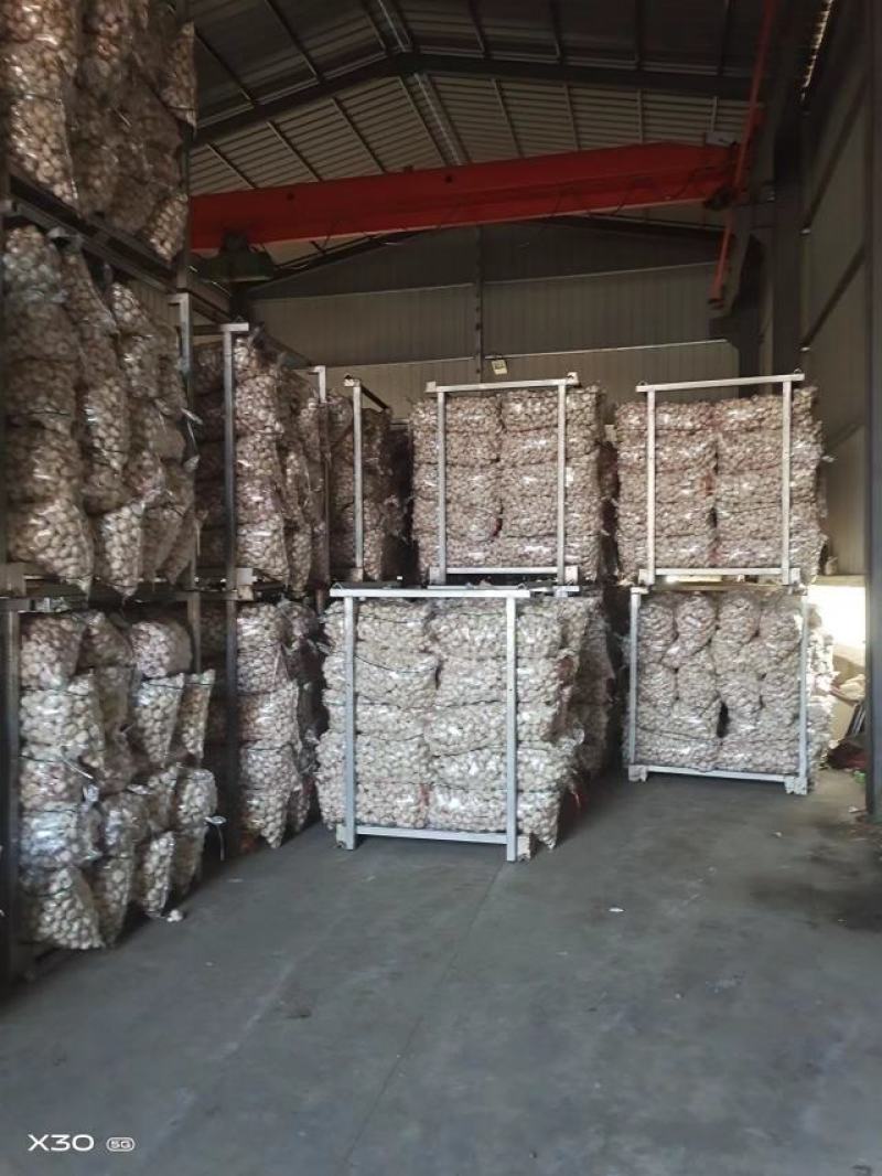 【精选】精品大蒜江苏精品干蒜一手货源质优价优欢迎咨询