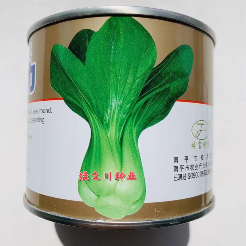 夏秋青梗菜种子晓富大阪夏力青梗菜无焦心耐热耐雨品质好