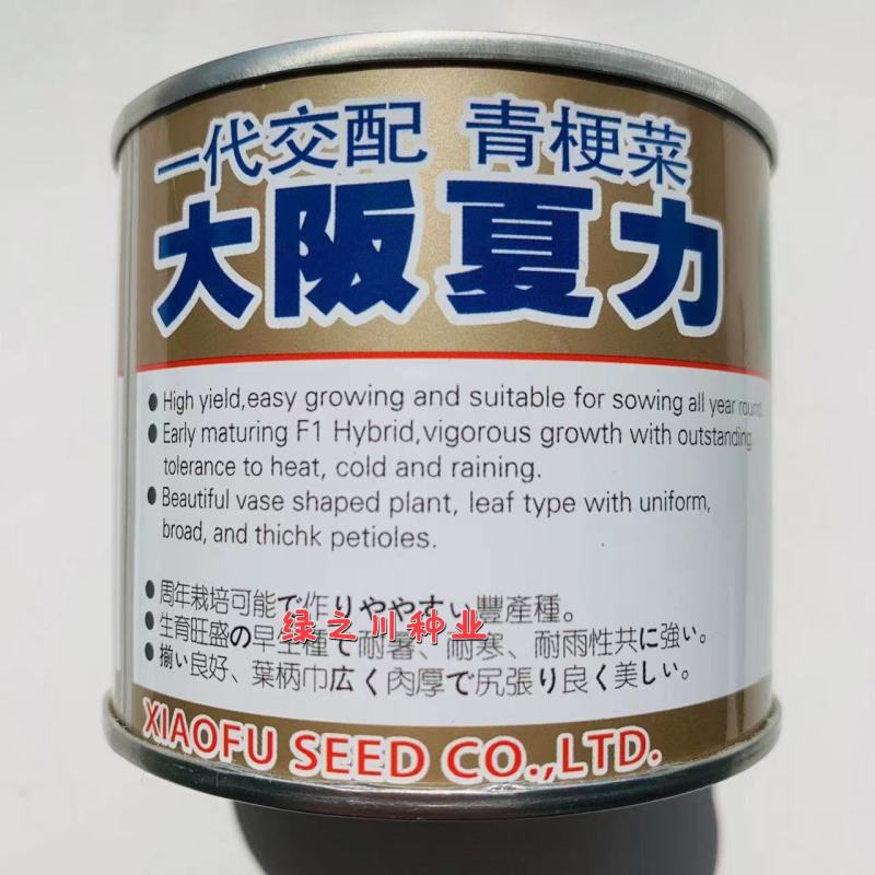 夏秋青梗菜种子晓富大阪夏力青梗菜无焦心耐热耐雨品质好