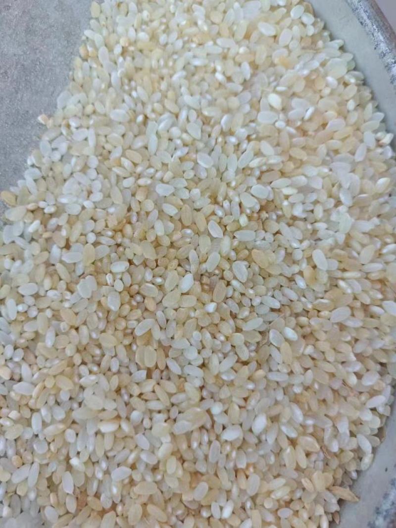饲料米