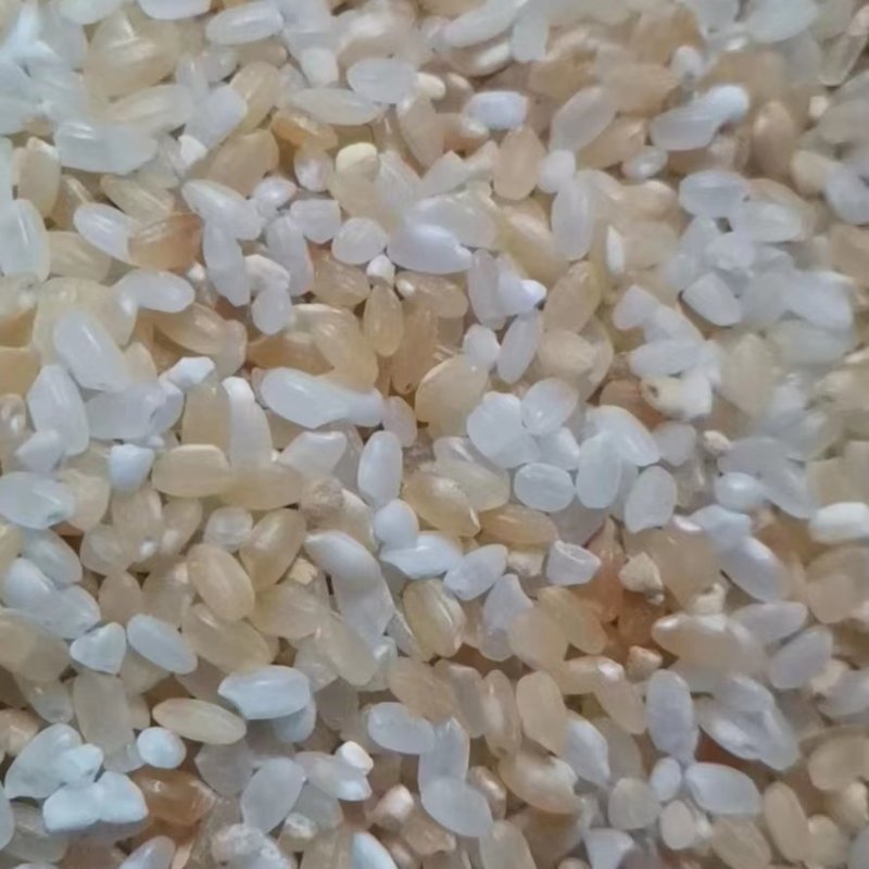饲料米