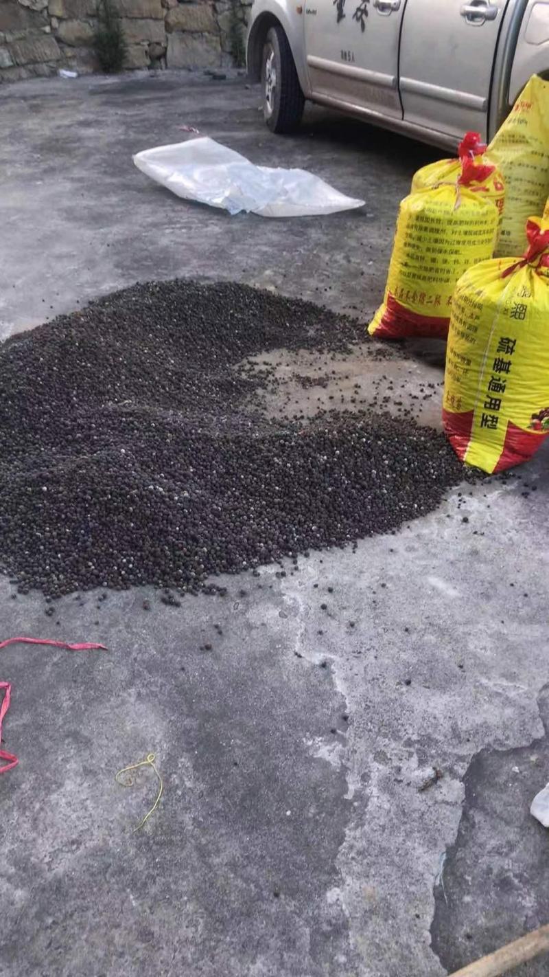 干枳实