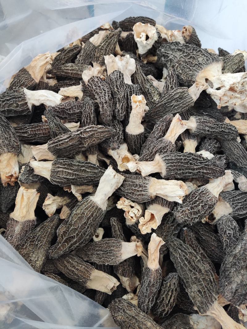 现货头茬羊肚菌干货-可视频看货