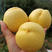 沂蒙山蜜桃大量上市，黄油桃红油桃，红毛桃，黄毛桃货源充足