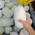 水果冬瓜大量上货2到4斤品质保障量大优惠