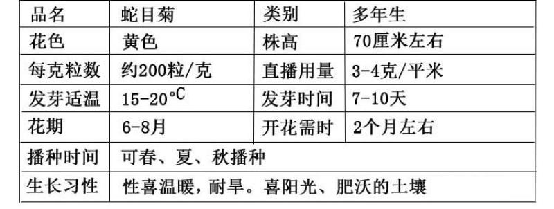 蛇目菊种子四季易种活的阳台盆栽绿植天山雪菊两色金鸡菊花籽