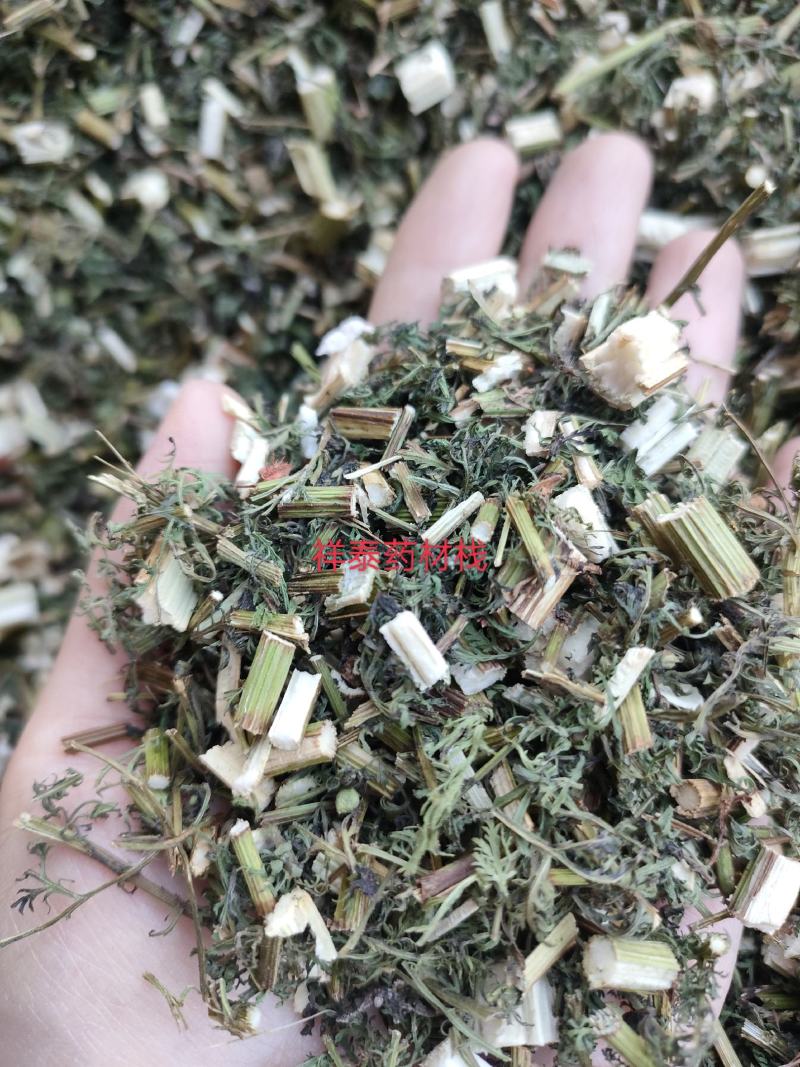 （热销）青蒿产地山东今年新货颜色翠绿大量货源祥泰药材栈
