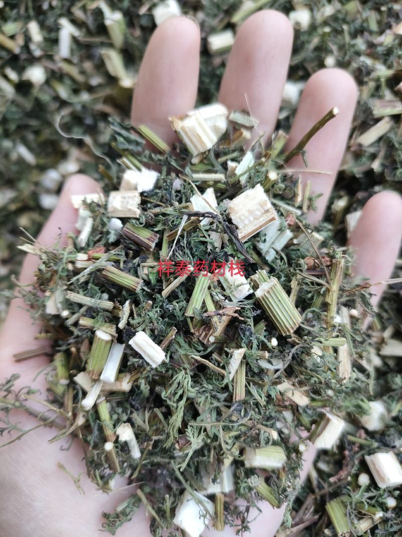 （热销）青蒿产地山东今年新货颜色翠绿大量货源祥泰药材栈