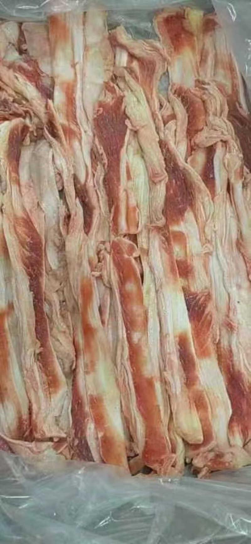 西冷筋