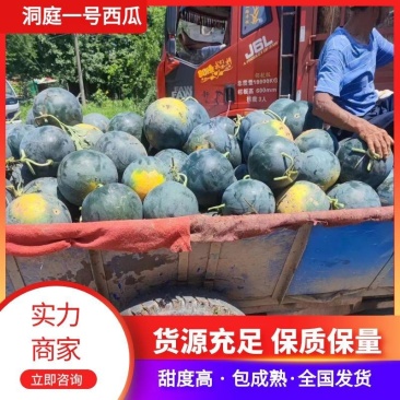 【洞庭一号西瓜】湖南西瓜实力代办实力代办鲜货供应