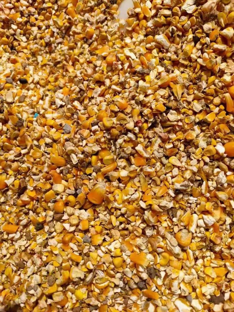 碎玉米，碎玉米，无土，无沙，无霉变，毛粮，净粮，保质保量