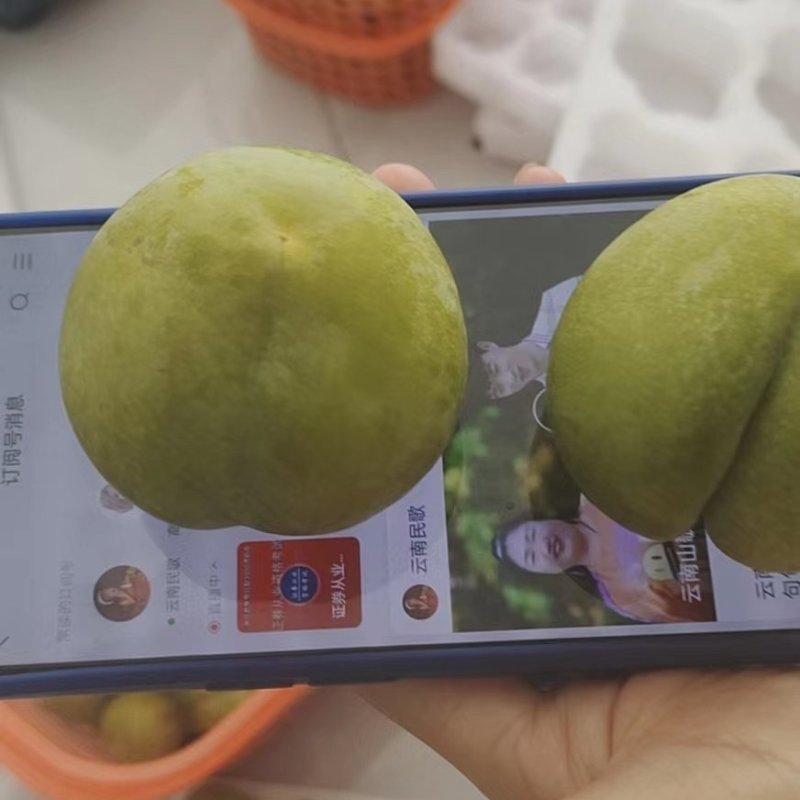 这是上山给老板摘的马上发货了
