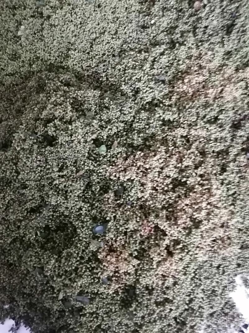 土花椒，大红袍