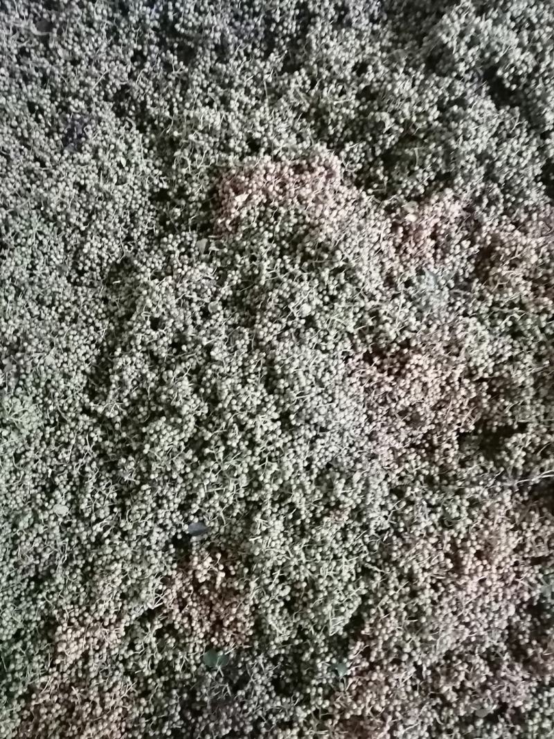 土花椒，大红袍