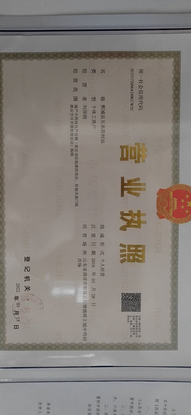 栀子，福建栀子江西栀子，大栀子，小栀子。可打粉