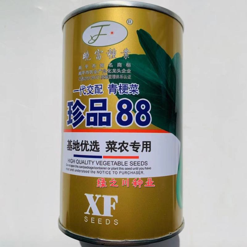 耐热耐寒油绿青梗菜种子纤维少珍品88青梗菜种子小青菜