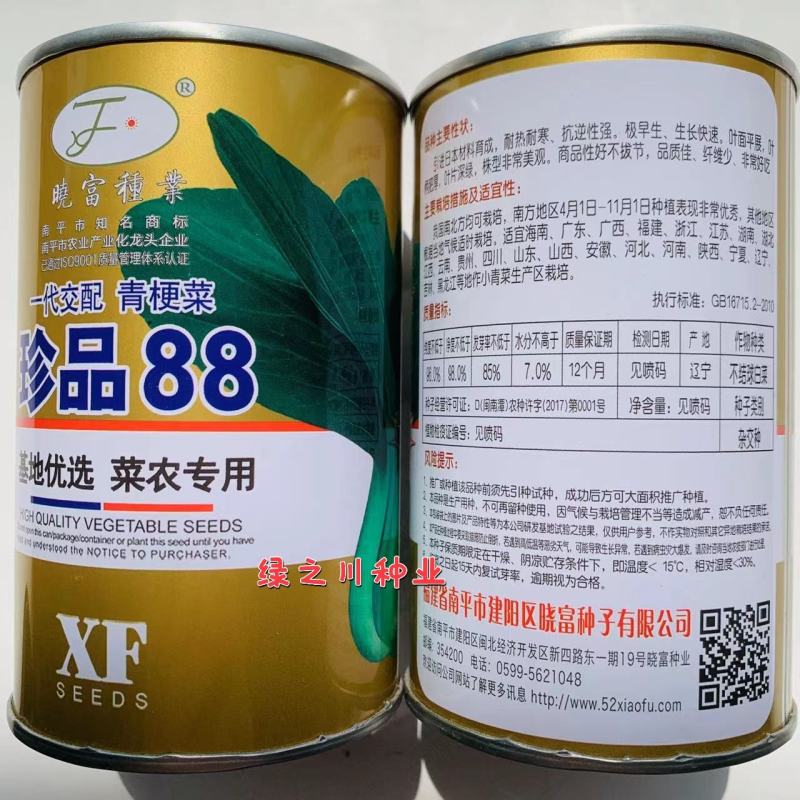 耐热耐寒油绿青梗菜种子纤维少珍品88青梗菜种子小青菜