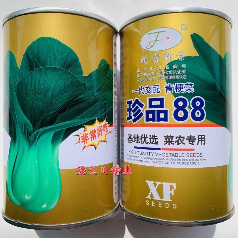 耐热耐寒油绿青梗菜种子纤维少珍品88青梗菜种子小青菜