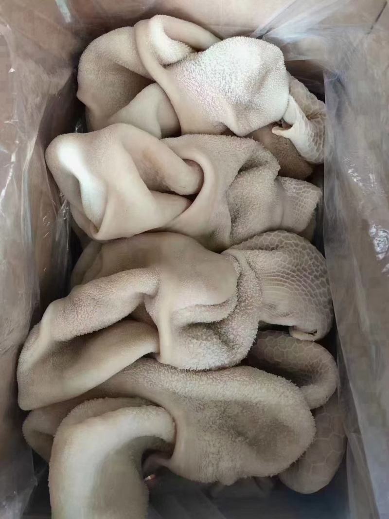 羊副产品羊肚，羊肚，羊肚，羊肚，羊肚，羊肚羊肚羊肚，