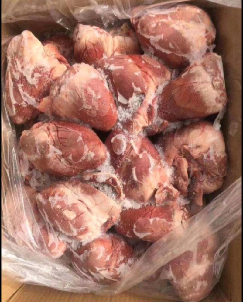 猪心，猪心，猪心，猪心猪心猪心猪心猪心猪心猪心猪心