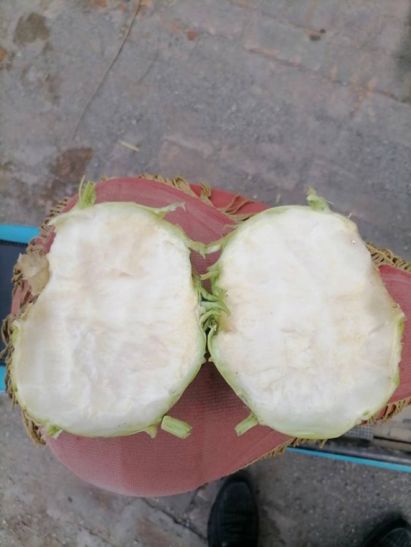 萝卜