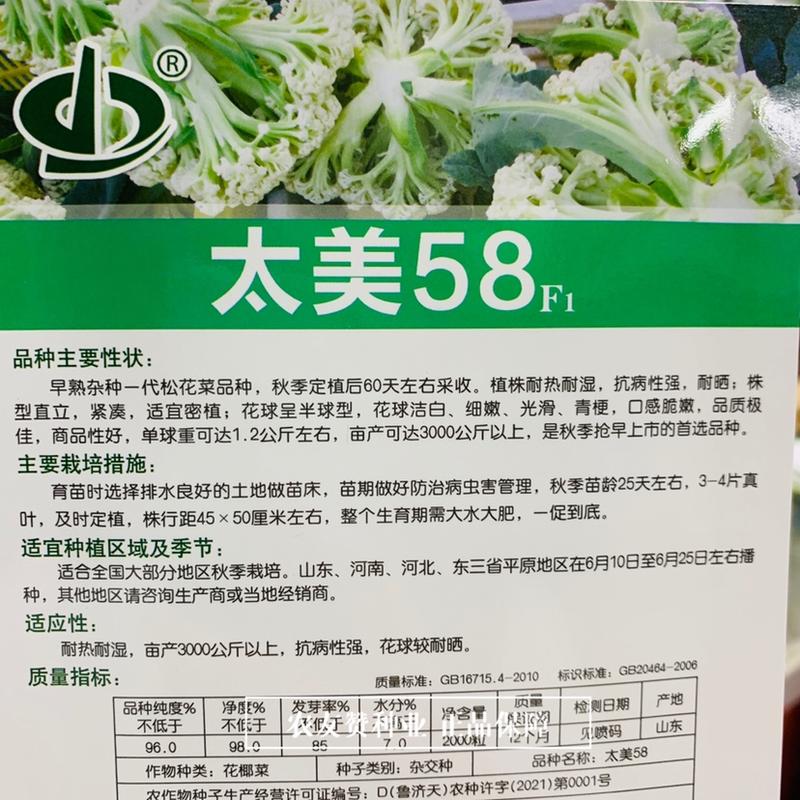 太美58耐热耐晒产量高早熟杂交一代青梗松花菜种子