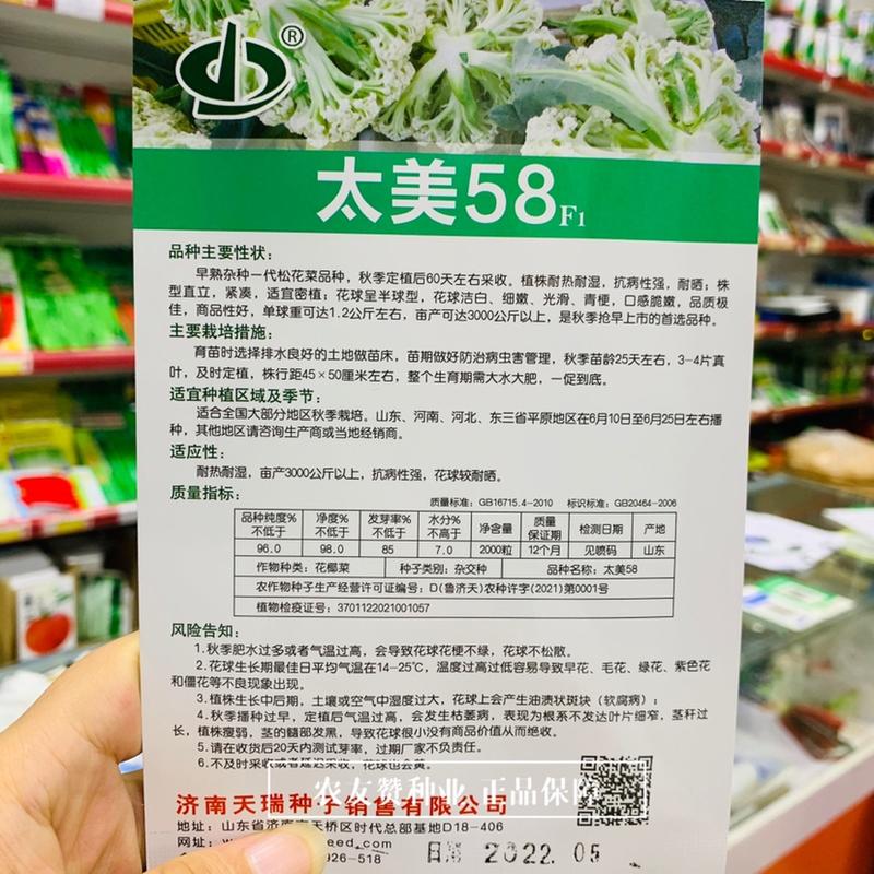 太美58耐热耐晒产量高早熟杂交一代青梗松花菜种子