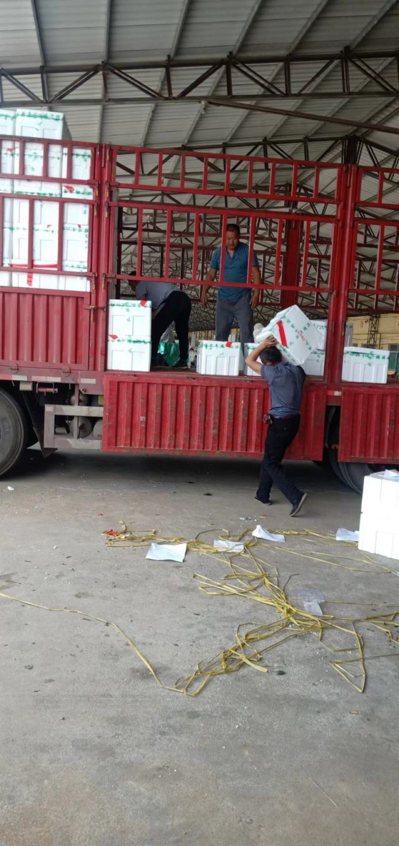 临沂沂南密刺黄瓜25公分以上产地直发量大从优